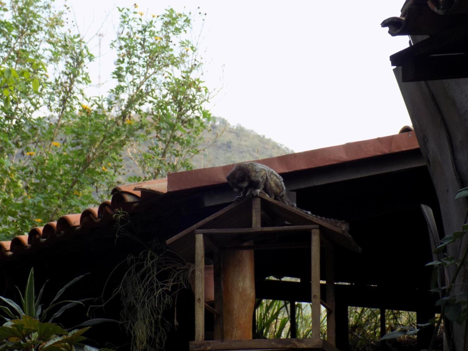 Pousada Fenix Pirenópolis Eksteriør billede